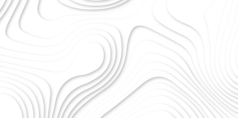 Abstract white paper cut background with line. 3d topography relief. Vector topographic illustration. realistic papercut decoration textured with wavy layer and shadow. seamless pattern wave design.
