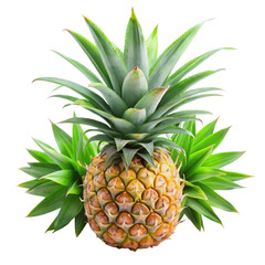 Fototapeta premium Pineapple leaves isolated on transparent background.