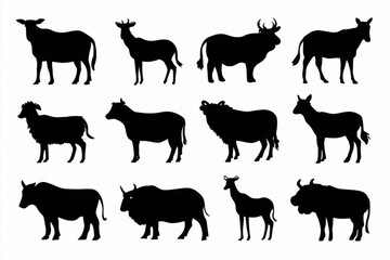 Fototapeta premium A set of farm animals, farm animals collection