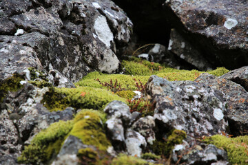 Landschaftsaufnahme  auf Island bei bew&ouml;lkten Himmel und Mystischer Stimmung