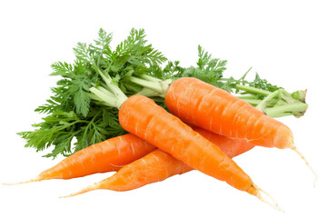 Three carrots are sitting on a white background