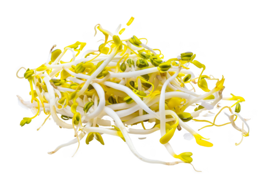 A pile of green and yellow sprouts on a white background