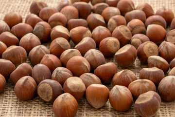 Close-up shelled hazelnuts on a piece of burlap