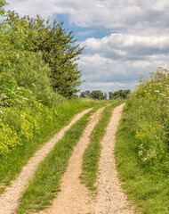 Curving gravel path.