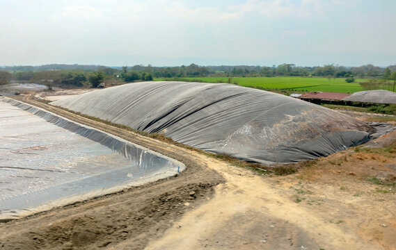 Covered lagoon digester for biogas production from poultry farm.