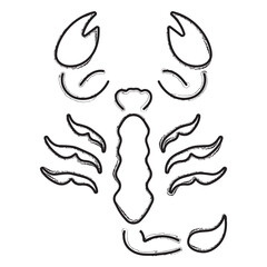 scorpion brush strokes on a white background. Vector illustration.