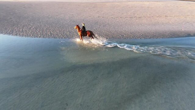 4K, aerial drone, woman riding horse on beach at sunrise dawn, Woodgate Beach, Queensland, Australia