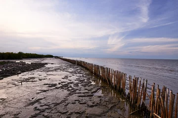 Crédence de cuisine Paysages Row of bamboo poles standing in mangrove beach  © tuckraider
