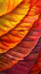 Obraz premium Vibrant and Textural Autumn Leaf Closeup with Dreamy Brushwork Background