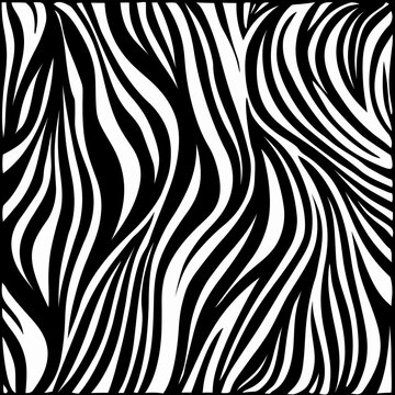 black and white seamless pattern, seamless zebra pattern, zebra skin pattern,  zebra skin texture, black and white seamless pattern, abstract pattern with lines, abstract background, abstract pattern,