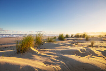 Ocean coast