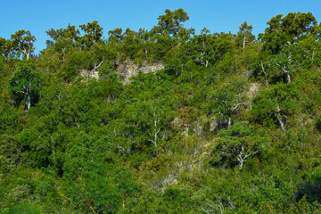Beautiful landscape of Sierra Madrona, Environmental Education, Fuencaliente, Ciudad Real province, Spain
