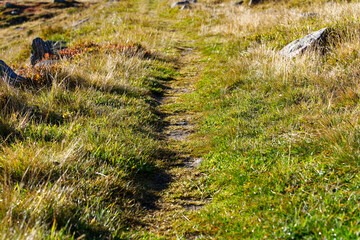 Fototapeta premium Close-up of hiking trail with stones and grass at Swiss mountain pass Gotthard on a sunny late summer day. Photo taken September 10th, 2023, Gotthard, Switzerland.