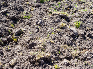 surface of dried plowed soil on vegetable garden