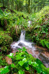 Cascade des Moli&egrave;res