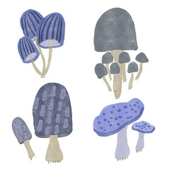 Mushroom blue color element for your design or wall art