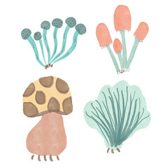 Mushroom elements for your design or printable wall art