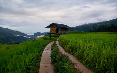 Mu Cang Chai terraced fields, Yen Bai, Vietnam