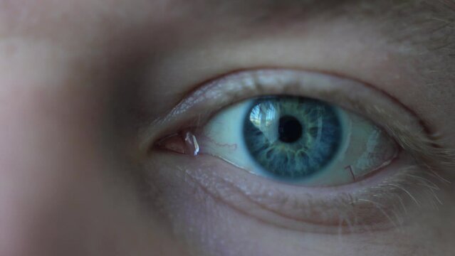 men's eyes blue, eye, eyes looking at the camera, eyes blink