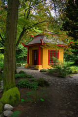 Przelewice. Polska. Ogród botaniczny. Maj 2024. Ogród japoński.