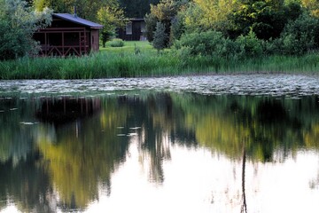 Obraz premium pond with water lily leaves and reflection of trees in water across pond wooden building