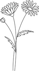 Wild Flower Outline Drawing Coloring Page for Kids and Adults