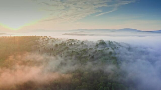 Amazing sunrise over mountain forest covered by haze. Morning fog hiding forest