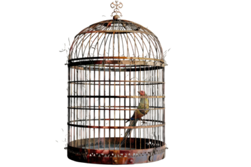 Bird Cage Icon Isolated on Transparent Background