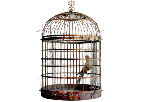 recommend clip art: Bird Cage Icon Isolated on Transparent Background