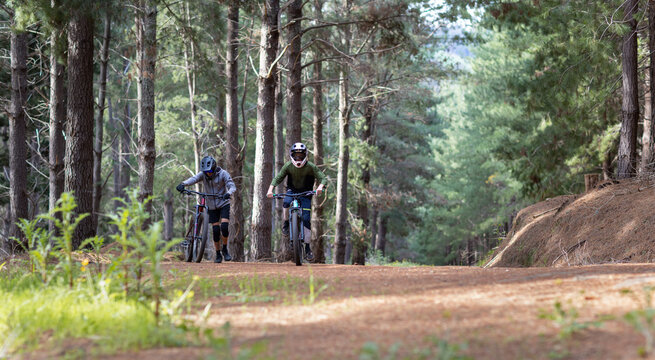 pine forest track with two teenagers and mountain bikes