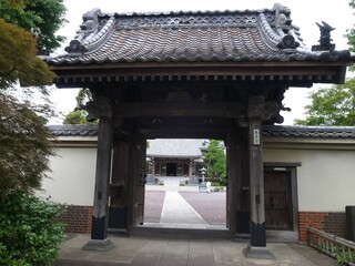 Fototapeta premium 本覚寺 山門
