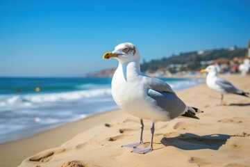 Close-up of a seagull on a sandy beach with clear blue skies and waves in the background
