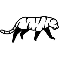 Obraz premium tiger line