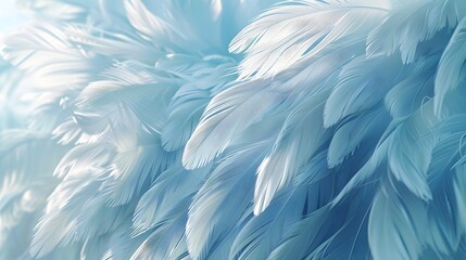 Obraz premium Light blue background, feathers, white color, soft light.