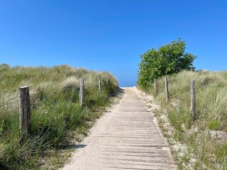 way to the beach threw the sandy dunes