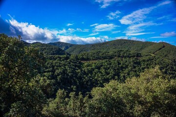 The blida Atlas Mountains
