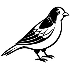 canary   silhouette vector  illustration svg