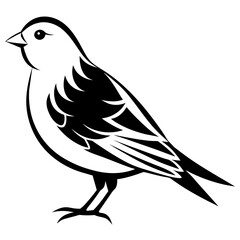 canary   silhouette vector  illustration svg
