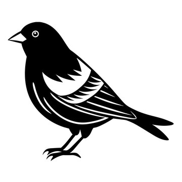 black bird silhouette on white background clip art preview
