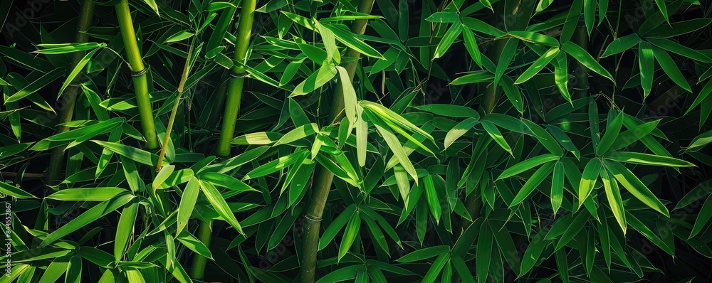 Poster lush green bamboo leaves create a tranquil and natural background that evokes a serene and calming a
