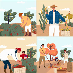 Harvest festival illustration set, flat illustration vector. Seasonal agricultural fair. Autumn harvest, summer harvest.