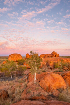Devil's Marbles/Karlu Karlu during blue hour, Northern Territory, Australia