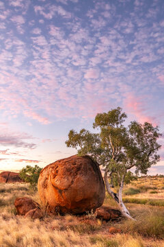 Devil's Marbles/Karlu Karlu during blue hour, Northern Territory, Australia