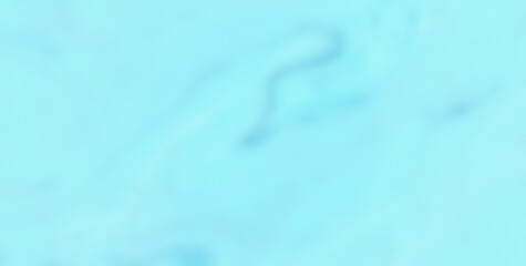 Eclectic and Expressive Painted Dreamscape Infused with an Array of Colors and Abstract Forms
