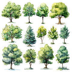 watercolor tree icon set