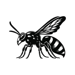 Hornet Animal black silhouette vector with white color background
