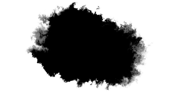 Transitions of black expanding paint stains on white backdrop Grunge Ink spreads and fills the screen. flows and streams. Ink bloom. Beautiful black watercolor ink leak drops transition paint 4K 3D