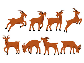 Goat Background Illustration for Qurban