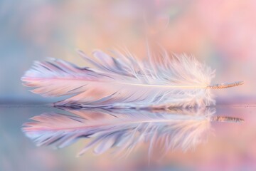 A single, elegant feather lying on a glassy, reflective surface with a soft, muted pastel background, highlighting its delicate texture,