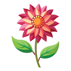 illustration of a flower on white